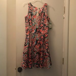NWT Lilly Pulitzer gosling dress